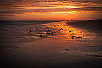 photo saint jean de monts, photo paysage vende, photo printemps, photo paysage brtignolles, photo brem sur mer, les sables d'olonne, vende globe, dune, algues, rocher, bleu, vert, plaine, sauvage, coucher de soleil, printemps, photo paysage, favor