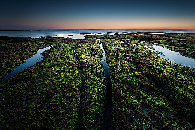 decoration prints, design prints, house decoration, abstract prints, france landscape, french waterscape, gift,vende, spring, brtignolles, brem sur mer, les sables d'olonnne, dune, blue, green, sky, plain, wild, seaweeds, spring, very best of